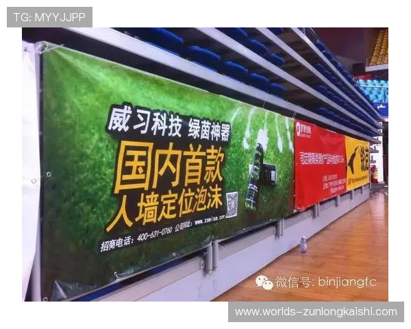 尊龙体育平台：全面解析其安全性与用户体验提升策略